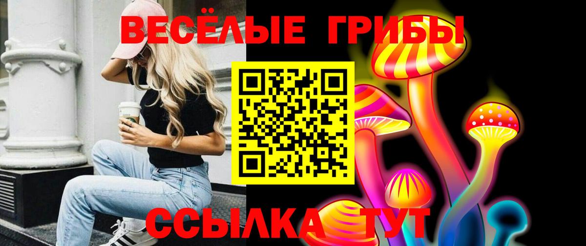Галлюциногенные грибы Psilocybe  Вход с VPN  Донской 